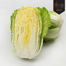 배추1망