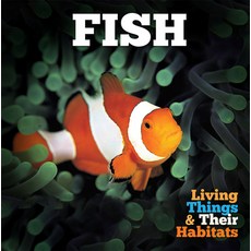 (영문도서) Fish Hardcover, Booklife Publishing, English, 9781786370020