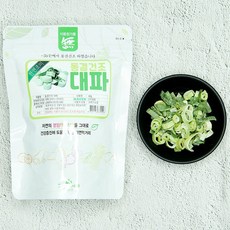 동결건조파