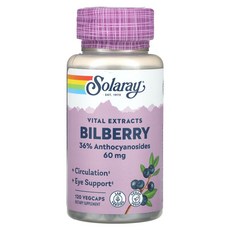 바이탈 빌베리추출물 60mg 120정 안토시아닌 눈피로