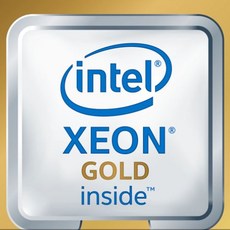 인텔 제온 골드 5215m CPU