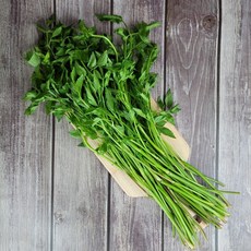 당일수확 순천 햇 미나리, 1kg, 1개