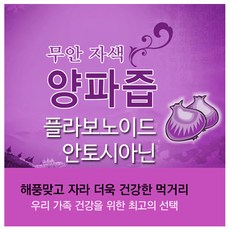 성내식품