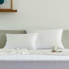 모던하우스풍기인견베개커버