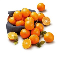 제주 황금향 가정용 5kg 14-40과[34654903], 1개