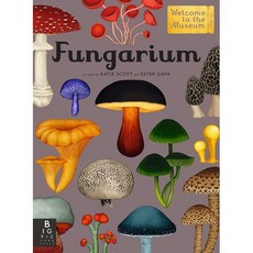 Fungarium: Welcome to the Museum : Welcome to the Museum, Big Picture Press