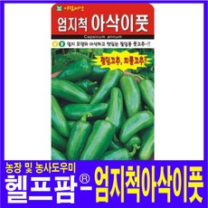 미인풋고추모종