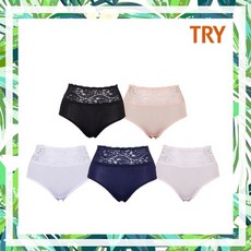 트라이인견브리프