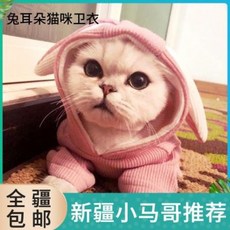 ce37baca5869301b893d0fe9a5334ac64a5954461d62c64a296589cdab25.jpeg