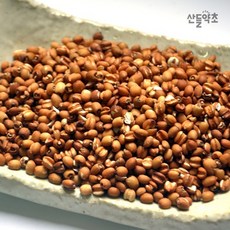 볶은피율무