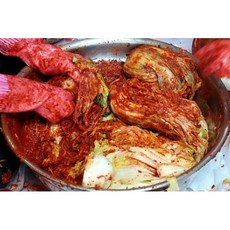 1인가구김치냉장고