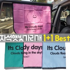 제이에프데코 차량용 자석 방수 햇빛가리개, 2개, 청록