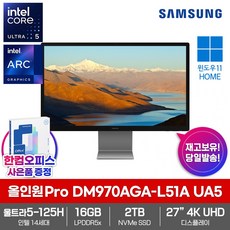 삼성 올인원 PRO DM970AGA-L51A UA5 SSD2TB 16GB램 인텔 울트라5 125H Win11Home 27형 4K UHD 일체형 PC, 16GB