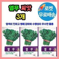 열무 씨앗 3봉 종자 씨, 3개