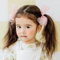 아기바니집게핀