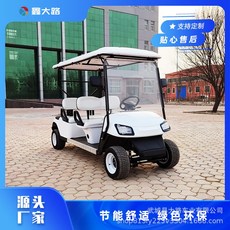 전동차 골프 카필드 전동 관광차 신에너지 4륜 배터리카 성인 유람, C01-2열, T01-화이트레드 맞춤가능