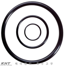 바이톤 오링 AN계열 AN049 AS049 1개 (126.72 X 1.78) Viton Oring FKM 재질 불소고무 오링