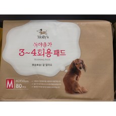 몰리스펫샵먼치껌