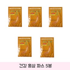 홍삼한방 5팩 100매, 20개입, 5개