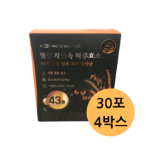 자연속 하루 효소 곡물 발효 효소 유산균 45종, 180g, 4개