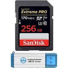 샌디스크익스트림프로256g