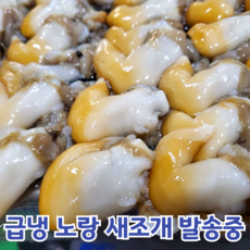 산지직송 자연산 여수 새조개 2kg 실중량 500 내외