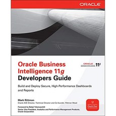 Oracle Business Intelligence 11g 개발자 가이드, 단일옵션
