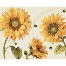 해바라기피포페인팅