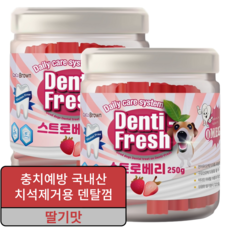 덴티프레쉬 애견 덴탈껌 250g, 딸기, 2개 - 티덴브러쉬