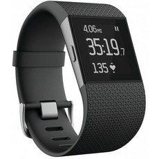 Fitbit Surge Fitness Superwatch Black Large(미국 버전):, 단일옵션, 단일옵션