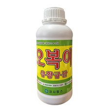 유황규산 오복이 1L 수용성 유황 유기농 병해관리 액상 영양제 비료 고추 탄저병 잎마름병