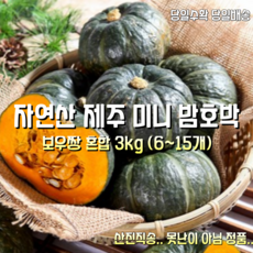 [산지직송] 제주 미니밤호박 보우짱 정품 혼합 3k 6~15개 1박스, 제주 미니 밤호박 보우짱정품 혼합 3k 6~15개