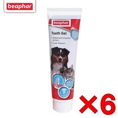  반려견용 고기맛 겔타입 치약 6개 8120 치약추천 덴탈, 기본 