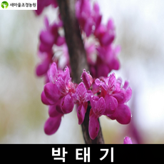 a9ec2b6004f7bbac003af11c451329732915171c9426851aa0db529c344d.png
