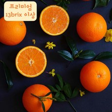 제주 천혜향 산지직송 고당도 프리미엄 선물세트 13brix 이상 당도선별, 가정용, 1개, 2kg(레드향)