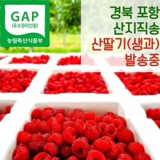 포항 햇 산딸기 냉동산딸기 산지직송 500g 1kg 2kg, 250g, 2개