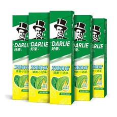 달리 darlie 더블액션 225g 6개