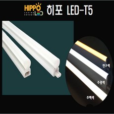 t5led TOP01