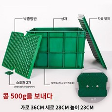 콩나물 가정용 육묘반 콩나물통 생숙주 콩나물 발아분 땅콩 콩나물통 재배 플라스틱 대야, 콩나물통1012인분 섭취가능콩1근배송, 1개 - 콩나물통