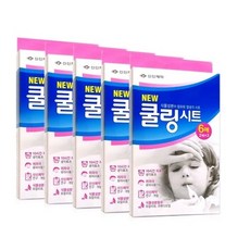신신제약 쿨링시트 6매 x 10개 / 10시간지속 냉각효과