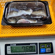 통영 자연산 바다장어 1kg, 활장어 4-6마리 700g, 1개