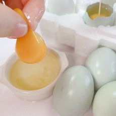 청란 동물복지 유정란 무항생제 계란 초란 중란 달걀 30구, 초란 30구, 1개