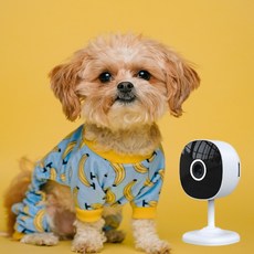 거실cctv