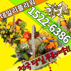 과일바구니 출산 집들이 병문안 문병 선물 배송 예단 이바지 당일, (선택01)과일바구니+꽃