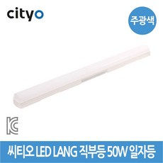 씨티오 LED LANG 직부등 50W 일자등 주광색, 1개