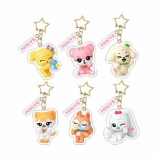 아이브 키링 6종 셋트 개별포장 미니브 캐릭터 양면키링 굿즈 체리 강안지 치즈 열쇠고리, 1개