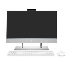 HP 일체형PC 24-dp0206kr (라이젠5-4500U 60.5cm), WIN11 Home, RAM 8GB, NVMe 256GB + HDD 1TB