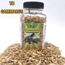 어밥 YB 감마루스 거북이 사료 밥 먹이 250ML, 1개