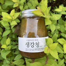 시골아이생강청