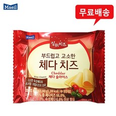 싱글즈치즈